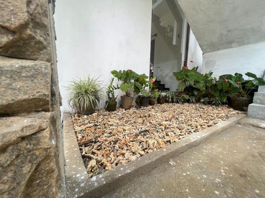 Plantation Inn Weligama Exterior foto
